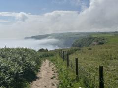Looking back from Beacon Hill